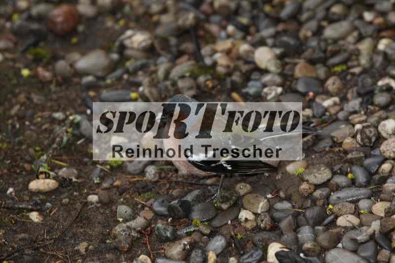 /Archiv-2023/03 07.04.2023 Speer Racing ADR/Impressionen